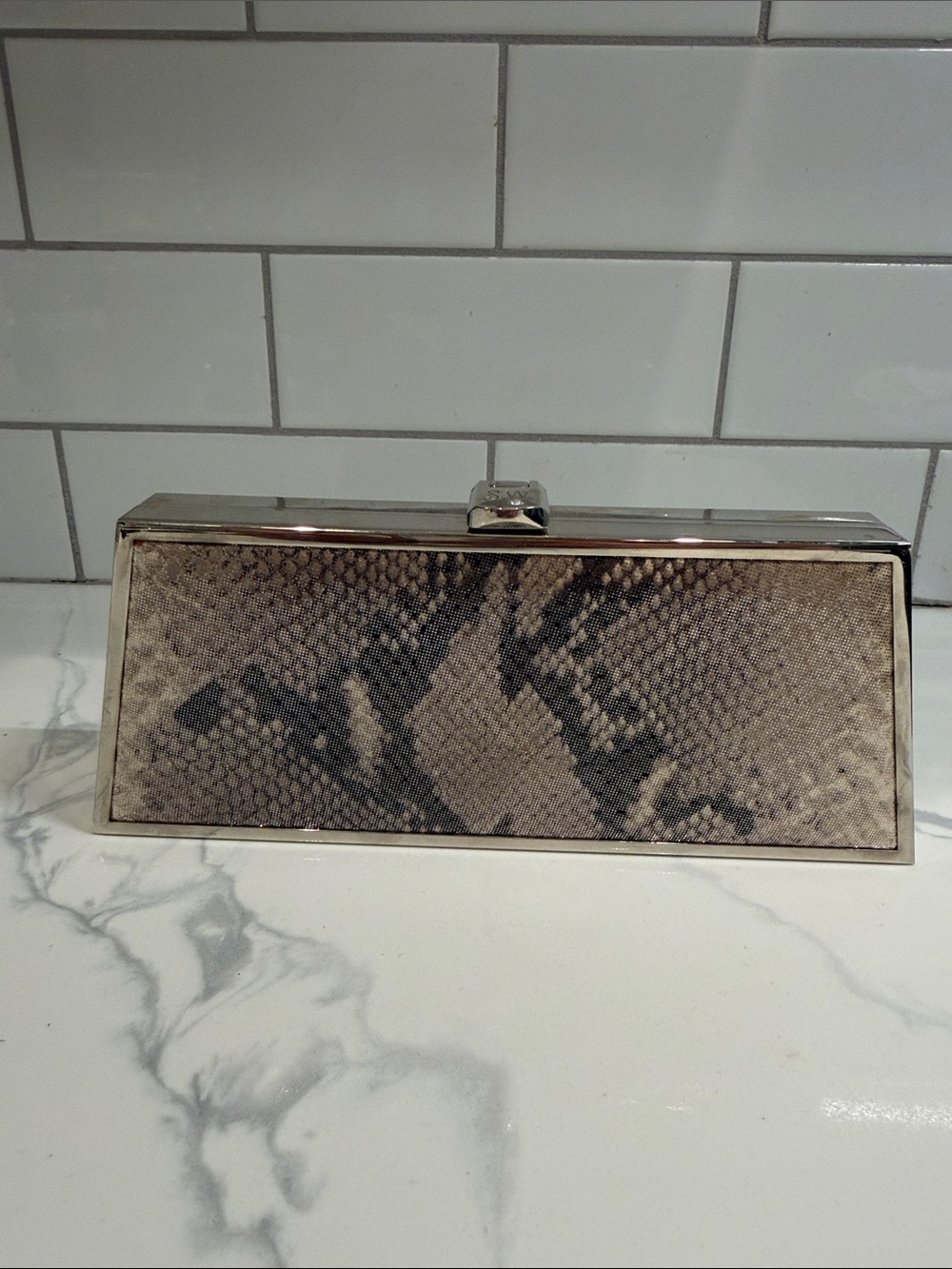 Stuart Weitzman Snake-Print Rectangular Clutch in Snakeskin